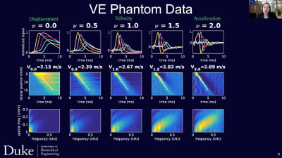 VE Phantom Data